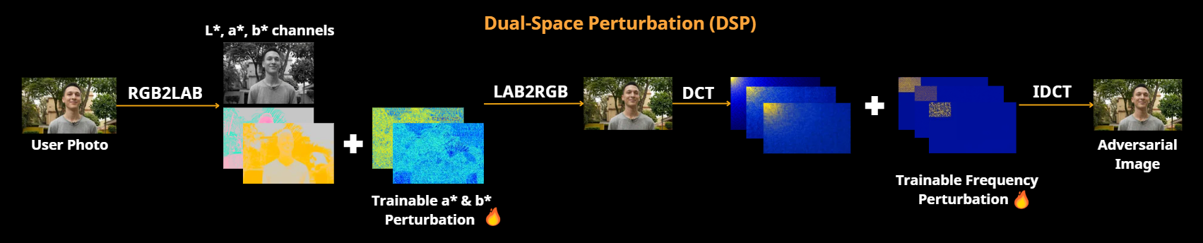 Dual-Space Perturbation diagram